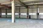Hale industriale noi | 8004.000 MP | Centura Bucuresti - Otopeni