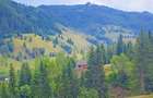 Teren intravilan ,extravilan Pojorata-Bucovina - 5