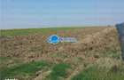 Vanzare Teren Intravilan Herasti Giurgiu 2 HA - 7