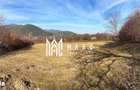 Teren | Intravilan I 2300 MP I Utilitati | Rasinari - 4