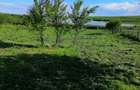 Rasmiresti, Teleorman - 6
