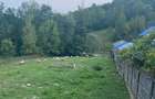 TEREN DE VANZARE 1.688 MP| SULTANU | VISINESTI | DEALURILE SULTANULUI - 3