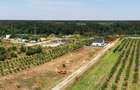 Brănesti  Pasărea: Lot 728 mp D= 36 m. între Lac și Pădure | Conectivitate A2/A0