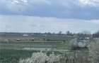Teren intravilan Vetis - 4