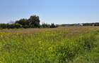 Teren 1.570mp la strada principală, dublă deschidere, Ciofliceni - Snagov! - 7