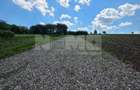 Teren Intravilan | Sfintu Ilie, Suceava | 35.000 /Parcela