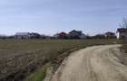 FARA COMISIOANE in Sabareni teren in suprafata de 23200mp gaze curent - 8