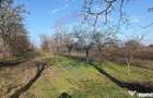 Teren 2,300mp Petresti / Strada Lacramioarei - Petresti (Vrancea) - 4