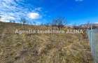 10 parcele de Teren intravilan in Deva, zona Calugareni, Strada Prunilor, Jud. Hd, cu PUZ, PUD, etc. - 5