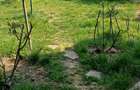 Apartament 2 camere cu gradina si garaj in cartierul Baneasa/Aerogarii - 10