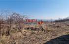 Teren Intravilan cu Priveliste Spectaculoasa in Alba Micesti - 660 mp