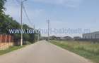 Teren Balotesti,padure Sri,19500 euro - 3