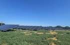 Proprietate agroindustriala, hala 1590 mp, teren 28000 mp, p - 9