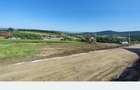 Teren intravilan Tomesti Chicerea - 1