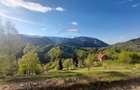 Teren 1,798mp Pestera / acces din Strada Principala - 2