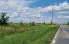 Vand 8000 mp teren in Bradu, drumul Cetului, la asfalt - 2