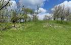Teren extravilan in Brebu(Pietriceaua)--9104mp--50.000e - 9