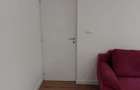 Apartament 2 camere zona Dimitrie Camtemir pentru firme - 5