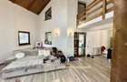 CASA 5 CAMERE 252 MP TEREN 1362 MP DRAGOSLAVELE ARGE? - 15