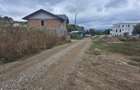Teren de vanzare intravilan Valea Lupului 750 mp - 3