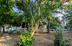 Comision0%-AlmanImobiliare-OazaDeCurte-1100Mp-CasaRenovabila-Mangalia - 16