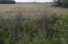 Vand teren intravilan - 1