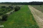 OCAZIE - Teren Intravilan - 8300 mp, Gruiu - Padurea Snagov - 10