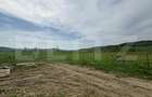 Hala, 230mp , zona Sud - 10