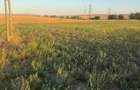 Teren intravilan 4.003 mp Frecatei, Tulcea - drum pe 3 laturi, curent - 3