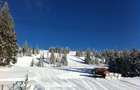 Teren intravilan, 415 mp, Muntele Baisorii, la 2.8 km de Buscat Ski - 1