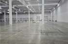 Spatiu Industrial - 5000 mp - Logistica - Depozitare - Distributie - 2