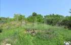 Investitie !Teren extravilan,15554 mp, zona in plina dezvoltare - 2