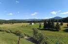 3900 mp teren intravilan in Poiana Stampei - 9
