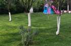 Vand casa in Cumpana - 1