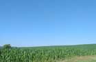 Teren în Valea Albă