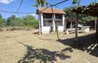 Casă cu Teren 2000 Mp în Tileagd - 1