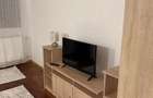 Garsoniera Plaza Mall-Moghioros - 7