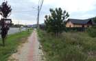 Teren Tomesti la DN 28 la strada principala - 6