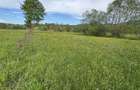 Teren deosebit 8100 m2 Sinca Noua - 2