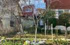 Casa in zona linistita si retrasa - 5