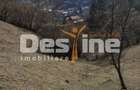 Teren 5000 mp, ideal cabana, pensiune, in zona de interes... - 5