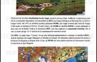 Oportunitate rara, teren intravilan cu proiect aprobat , 12, - 5