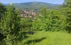 Oportunitate de investi?ie Teren 1.000 mp cu panorama deosebita in Valea Doftanei - 3