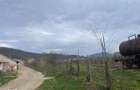 Hala de vanzare - 18246 mp, acces pietruit - 7
