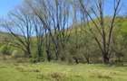 Teren intravilan de vanzare in Borod, 2000 mp, Bihor, Gaminvest, V4745