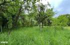 Viscri -Casa saseasca autentica in Viscri (UNESCO) | Oportunitate rara - 5