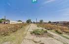 Teren intravilan 146.866 mp | Jimbolia - 13