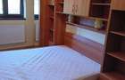 Ap cu 2 camere de inchiriat la vila,in Crisan - 7