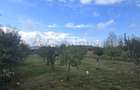 Casa moderna de vanzare, Cauciu Vechi, Bihor, V4342 Gaminvest - 15
