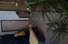 Vand ap 2 camere etj4 11 - 2